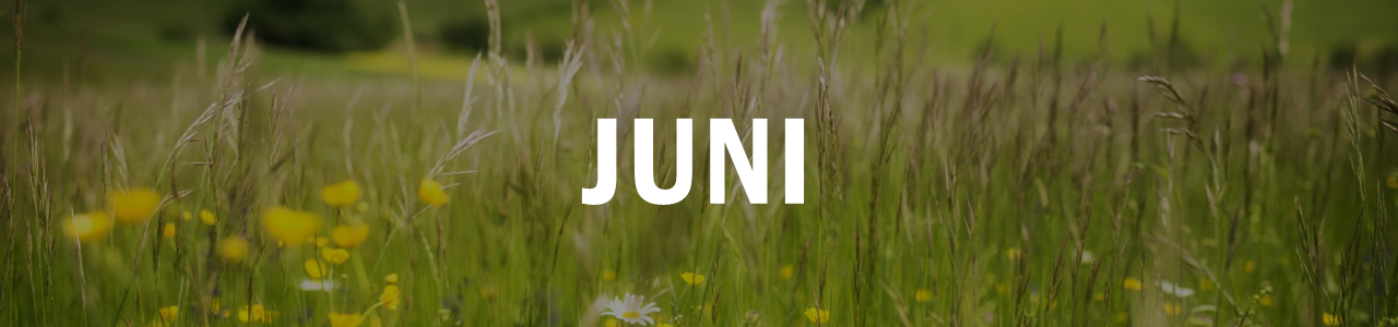 Juni