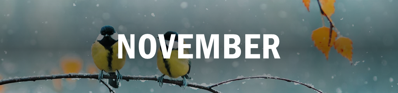 November